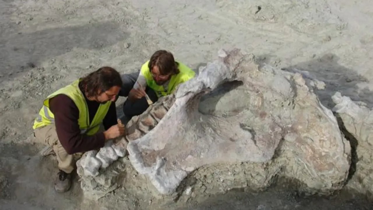 dinosaurus spesies baru di spanyol