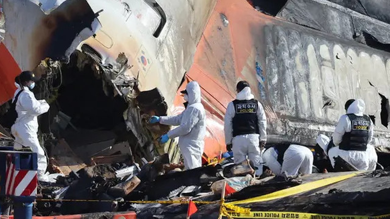 Bird Strike./RRI.co.id/travelradar.aero