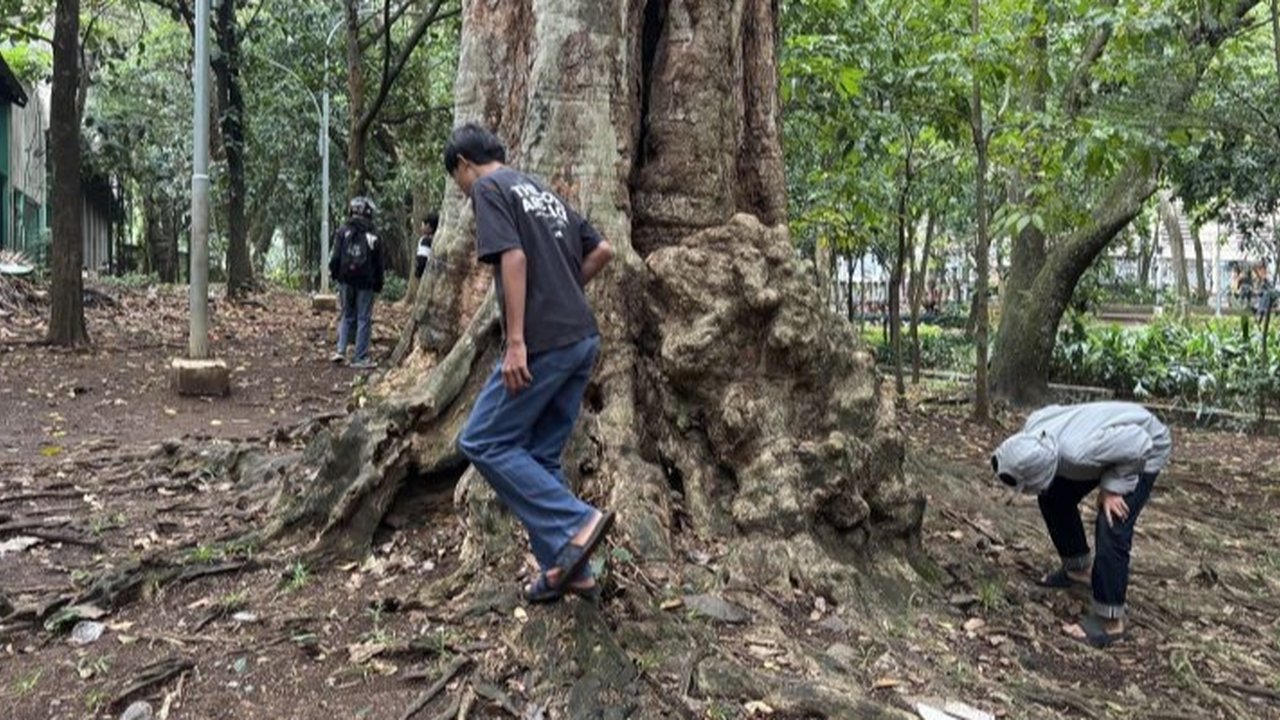Pengamat tata kota menilai tren permainan
