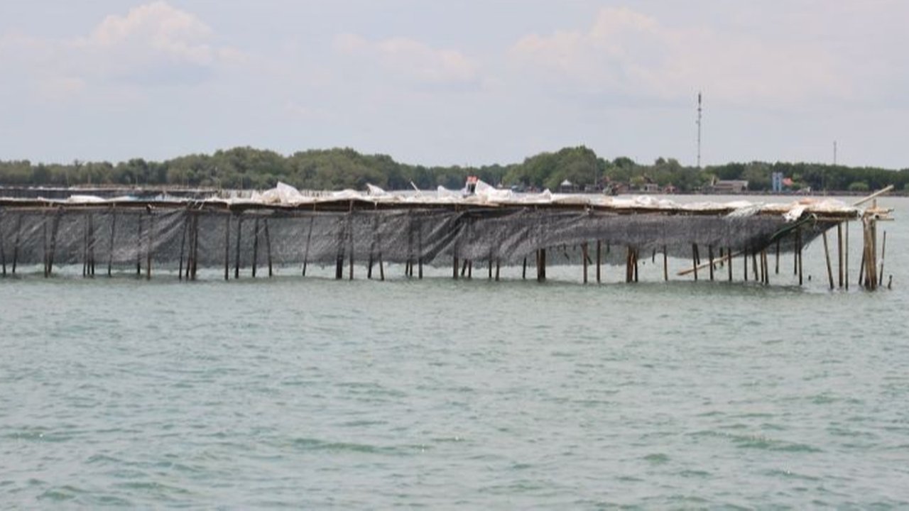 Pemasangan pagar laut ilegal di pesisir Tangerang dan Bekasi ditaksir merugikan nelayan, meningkatkan biaya operasional, dan merusak ekosistem laut hingga Rp116,91 miliar per tahun.