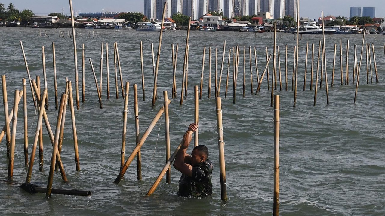 Personel Kopaska TNI AL membongkar pagar laut yang terpasang di kawasan pesisir Tanjung Pasir, Kabupaten Tangerang, Banten, Sabtu (18/1/2025). Sebanyak 600 personel TNI AL dan para nelayan Tanjung Pasir membongkar pagar laut tanpa izin dengan target penyelesaian selama 10 hari dengan jarak sepanjang 30,16 km
foto: merdeka.com/ arie basuki