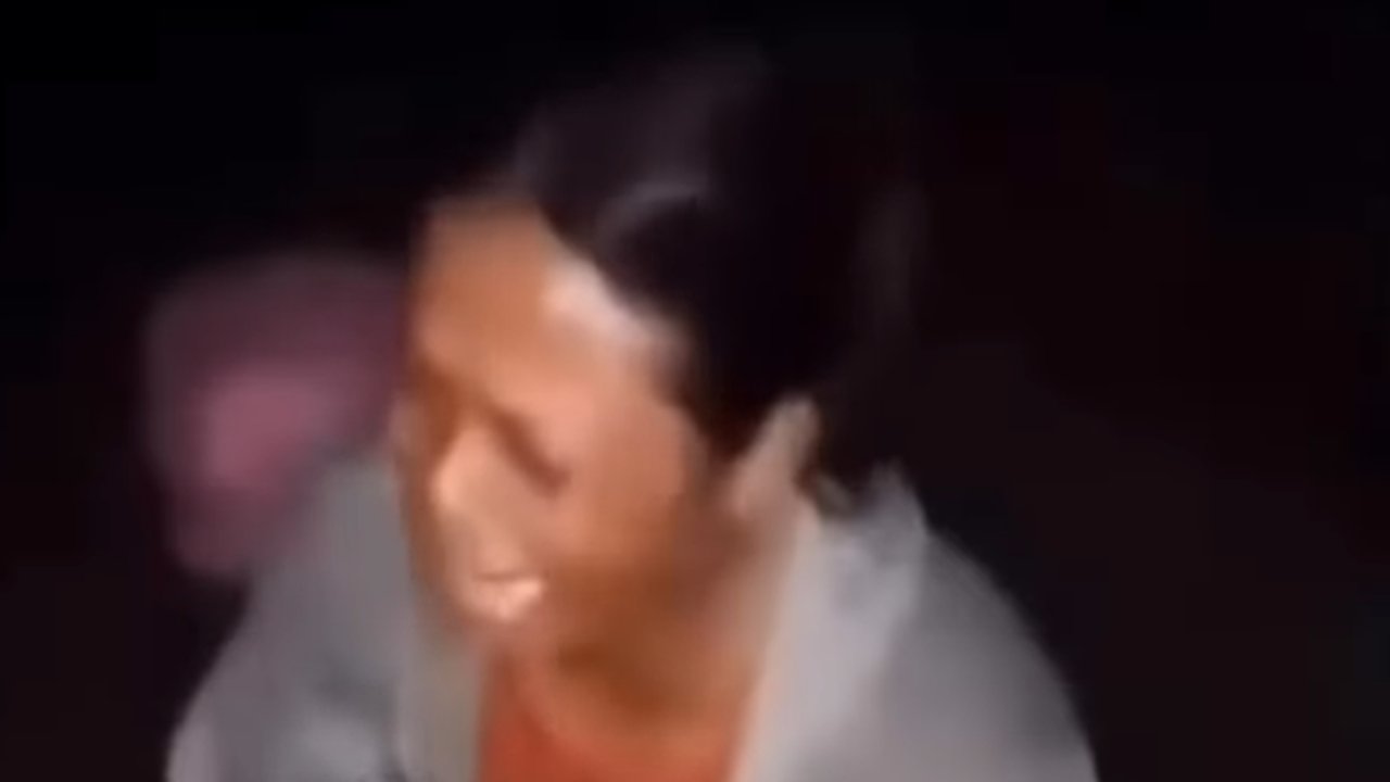 suara petasan sapi