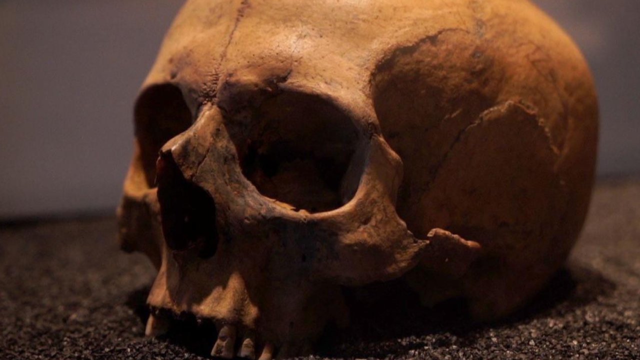 Ilmuwan Tes DNA 1.000 Kerangka Manusia Berusia 4.500 Tahun, Hasilnya Bisa Ubah Sejarah Inggris