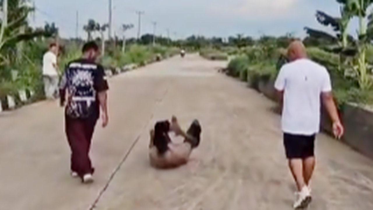 Kocak, Kapolres Serang Kasih Contoh Jungkir Balik di Jalanan