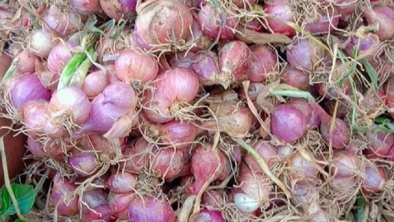 tips menyimpan bawang merah Ilustrasi dibuat AI