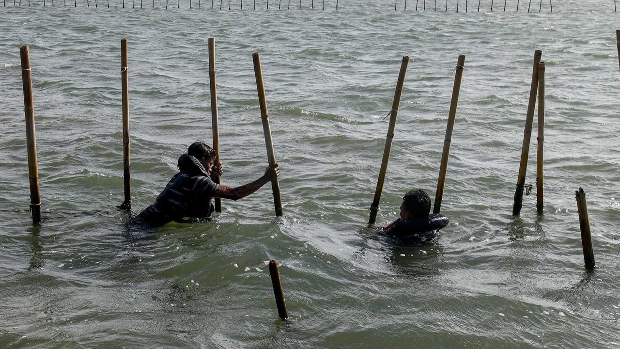 Personel Kopaska TNI AL membongkar pagar laut yang terpasang di kawasan pesisir Tanjung Pasir, Kabupaten Tangerang, Banten, Sabtu (18/1/2025). Sebanyak 600 personel TNI AL dan para nelayan Tanjung Pasir membongkar pagar laut tanpa izin dengan target penyelesaian selama 10 hari dengan jarak sepanjang 30,16 km
foto: merdeka.com/ arie basuki