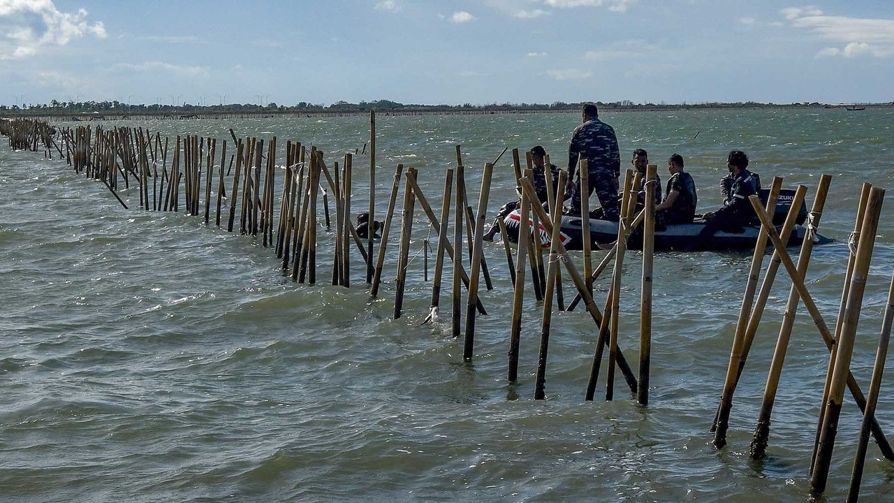Personel Kopaska TNI AL membongkar pagar laut yang terpasang di kawasan pesisir Tanjung Pasir, Kabupaten Tangerang, Banten, Sabtu (18/1/2025). Sebanyak 600 personel TNI AL dan para nelayan Tanjung Pasir membongkar pagar laut tanpa izin dengan target penyelesaian selama 10 hari dengan jarak sepanjang 30,16 km
foto: merdeka.com/ arie basuki