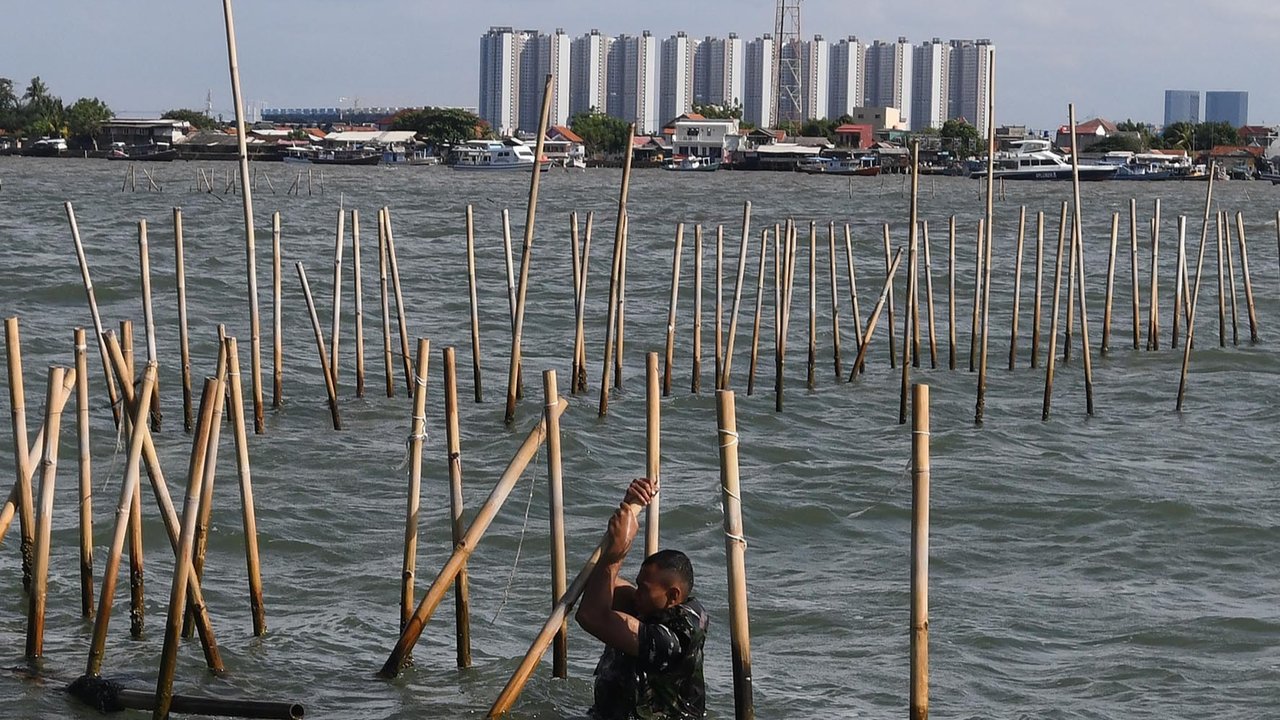 Personel Kopaska TNI AL membongkar pagar laut yang terpasang di kawasan pesisir Tanjung Pasir, Kabupaten Tangerang, Banten, Sabtu (18/1/2025). Sebanyak 600 personel TNI AL dan para nelayan Tanjung Pasir membongkar pagar laut tanpa izin dengan target penyelesaian selama 10 hari dengan jarak sepanjang 30,16 km
foto: merdeka.com/ arie basuki