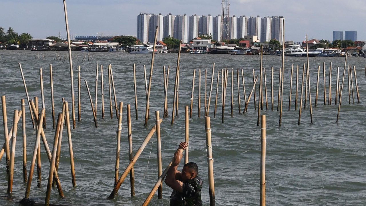 Personel Kopaska TNI AL membongkar pagar laut yang terpasang di kawasan pesisir Tanjung Pasir, Kabupaten Tangerang, Banten, Sabtu (18/1/2025). Sebanyak 600 personel TNI AL dan para nelayan Tanjung Pasir membongkar pagar laut tanpa izin dengan target penyelesaian selama 10 hari dengan jarak sepanjang 30,16 km
foto: merdeka.com/ arie basuki