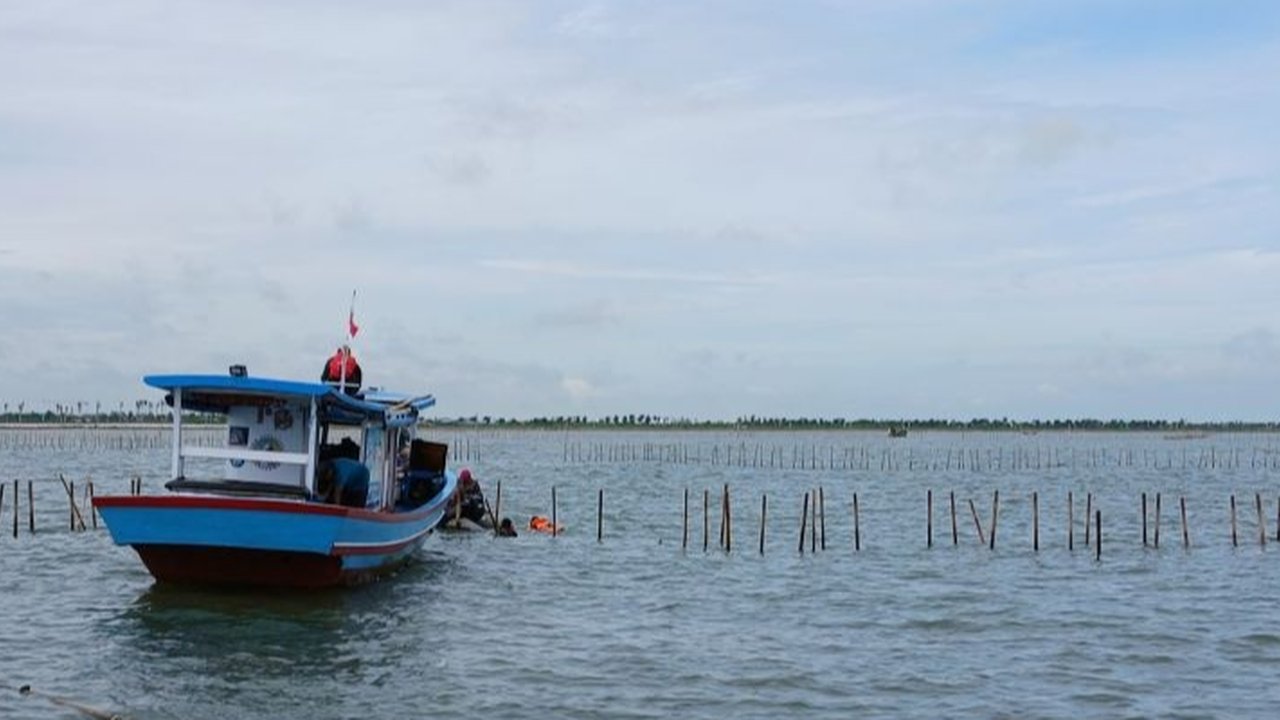 Menteri Agraria dan Tata Ruang/ Kepala BPN Nusron Wahid akhirnya membenarkan bahwa pagar laut misterius sepanjang 30 km di Tangerang, sudah bersertifikat Hak Guna Bangunan (HGB). Sertifikat-sertifikat itu menurutnya dimiliki sejumlah perusahaan.