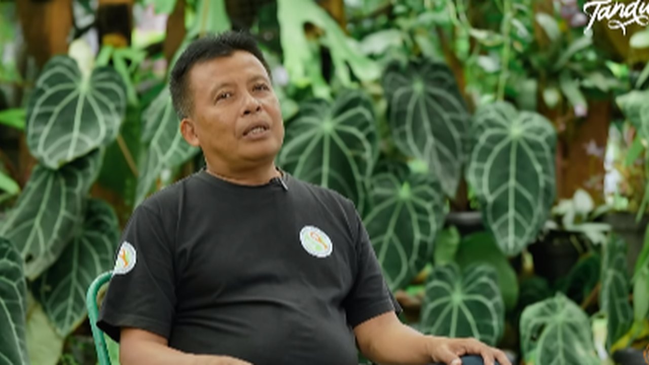 Jatuh Bangun Usai Resign Bekerja dari Kapal Pesiar