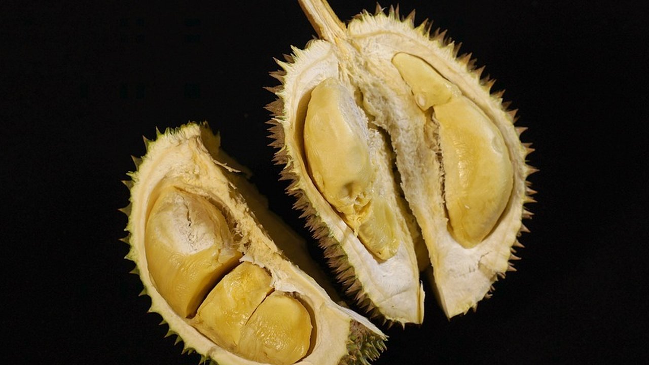 Ilustrasi buah durian (foto: Unsplash/Jimteo)