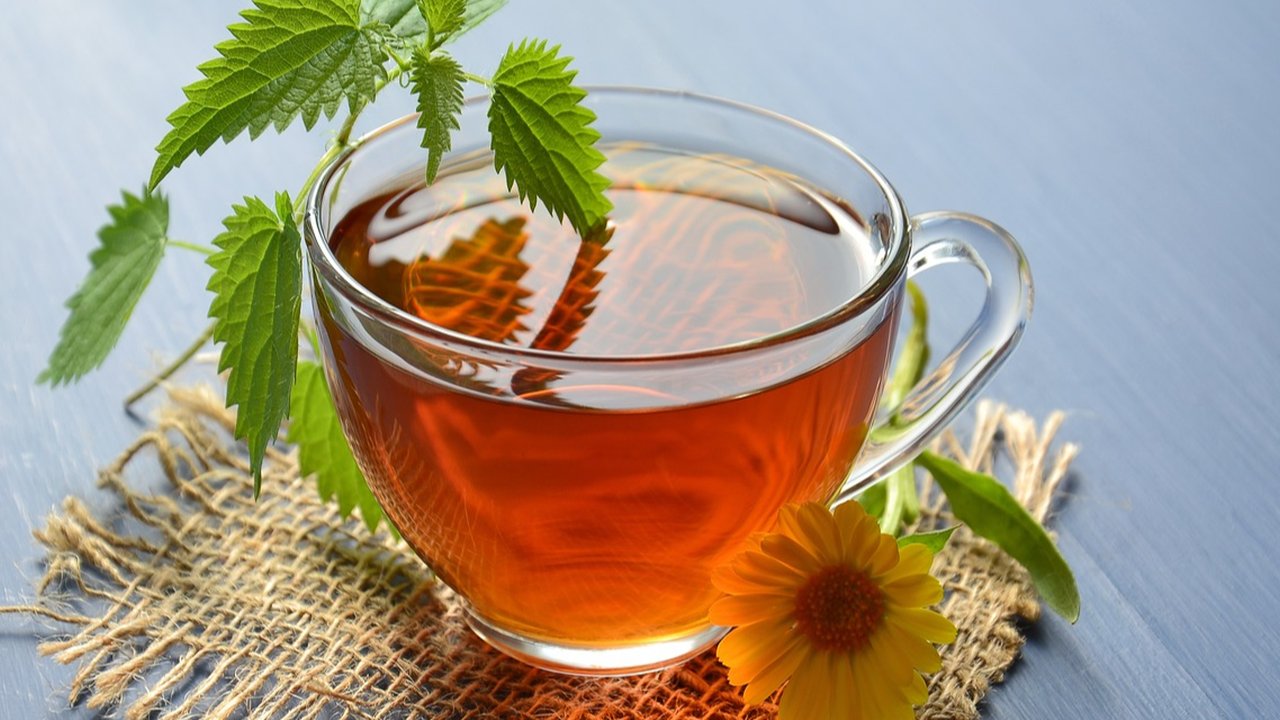 Manfaat Minum Teh Sebelum Berolahraga