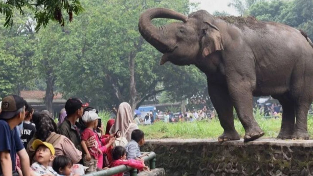 Imbauan larangan merokok di Taman Margasatwa Ragunan ditegaskan kembali untuk menjaga kenyamanan pengunjung, menyusul keluhan yang bermunculan di media sosial.