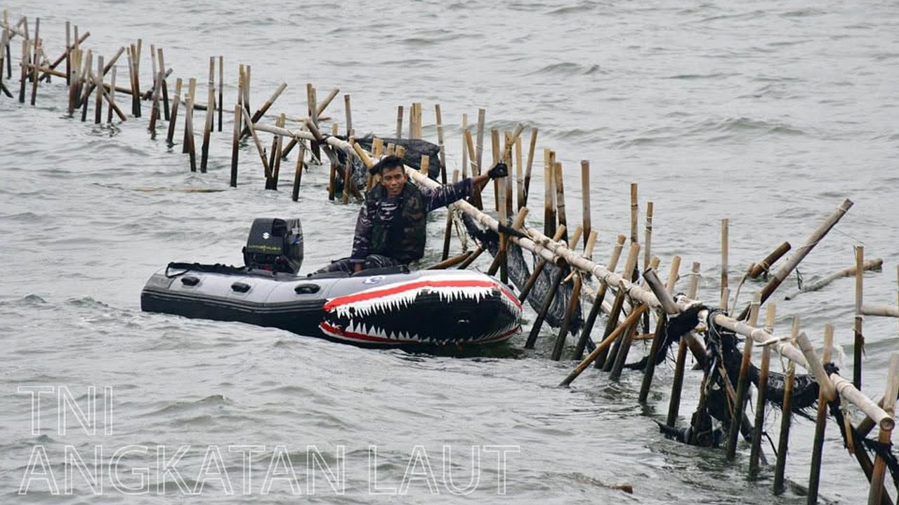 Perintah Kasal, Pasukan TNI AL Dibantu Nelayan Makin Getol Obrak Abrik Pagar Laut Misterius