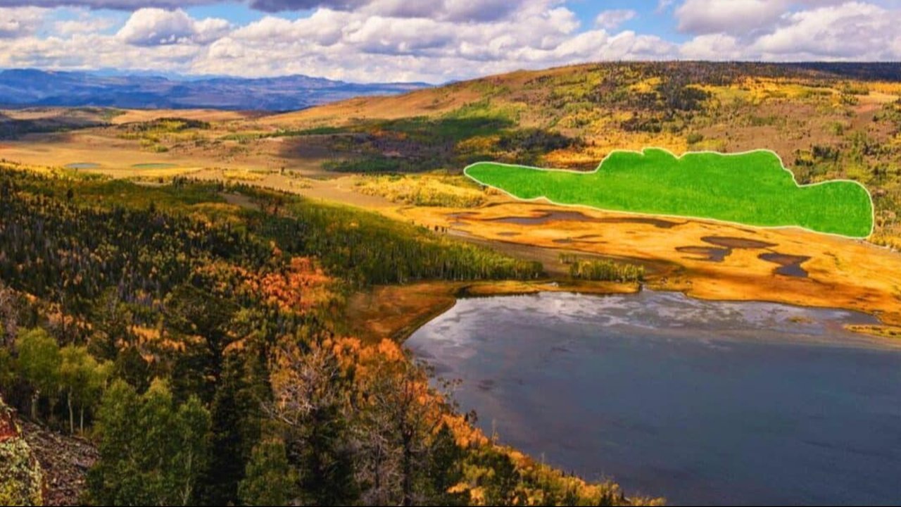 Usianya 17 Kali Lebih Tua dari Piramida Mesir, Ini Makhluk Hidup Terbesar dan Tertua di Bumi