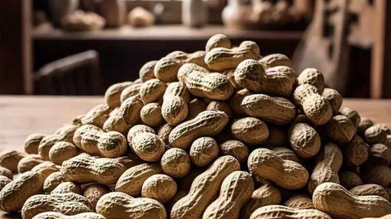 Kacang Tanah by Meta AI
