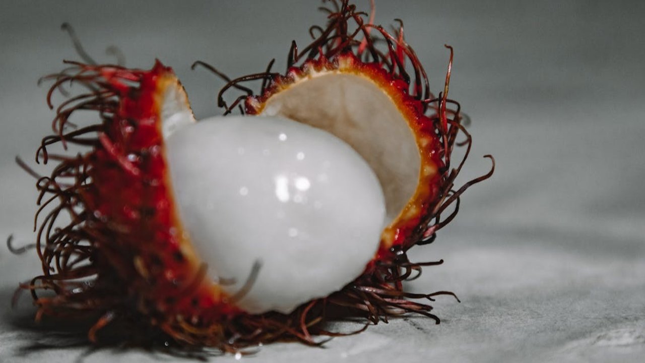 Ilustrasi Rambutan