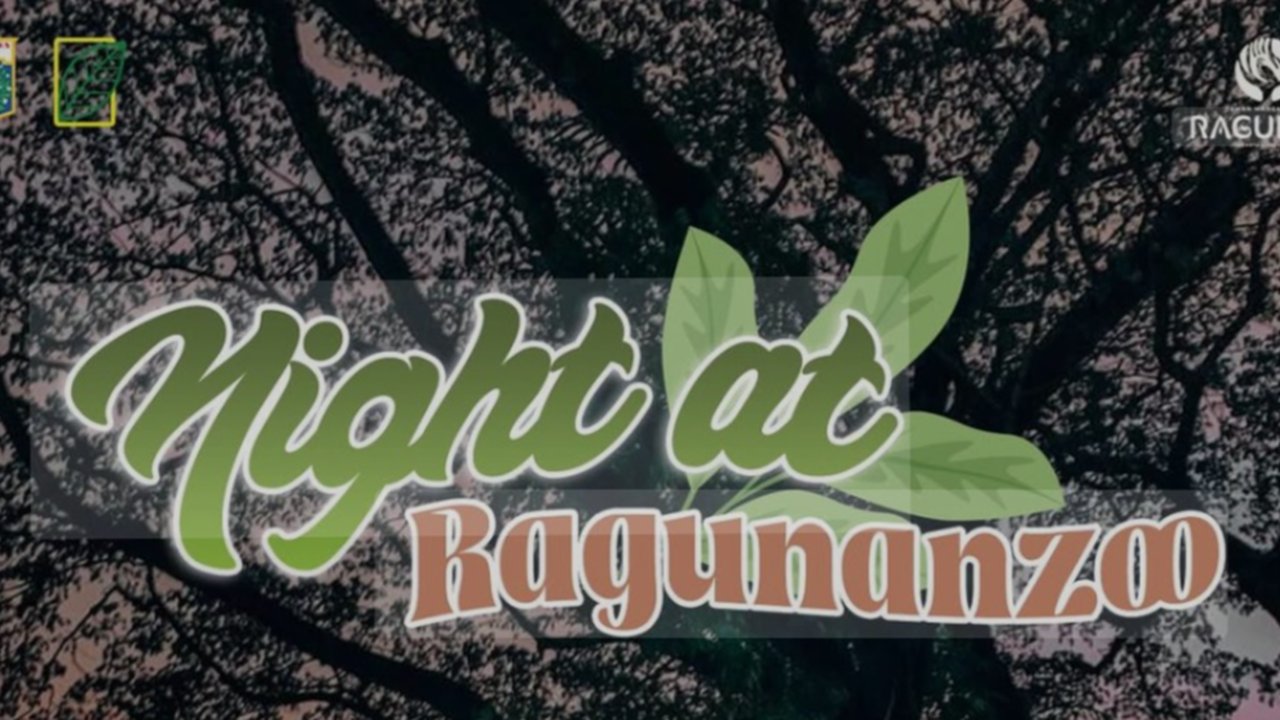 Wisata Malam Ragunan Dibuka Hari Ini! Simak Jadwal, Pintu Masuk, Harga, dan Cara Beli Tiketnya