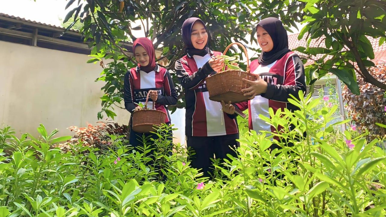 Warga Binaan Lapas Kelas IIA Tangerang Kembangkan Budidaya Ginseng Dukung Ketahanan Pangan Nasional