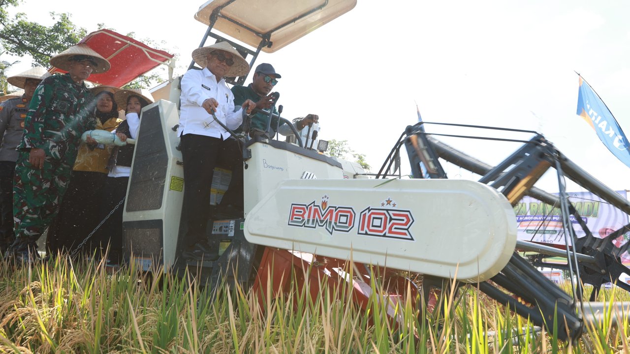 Dukung Swasembada Pangan Presiden, Pemkab dan Pupuk Kaltim Panen Demplot Padi di Banyuwangi
