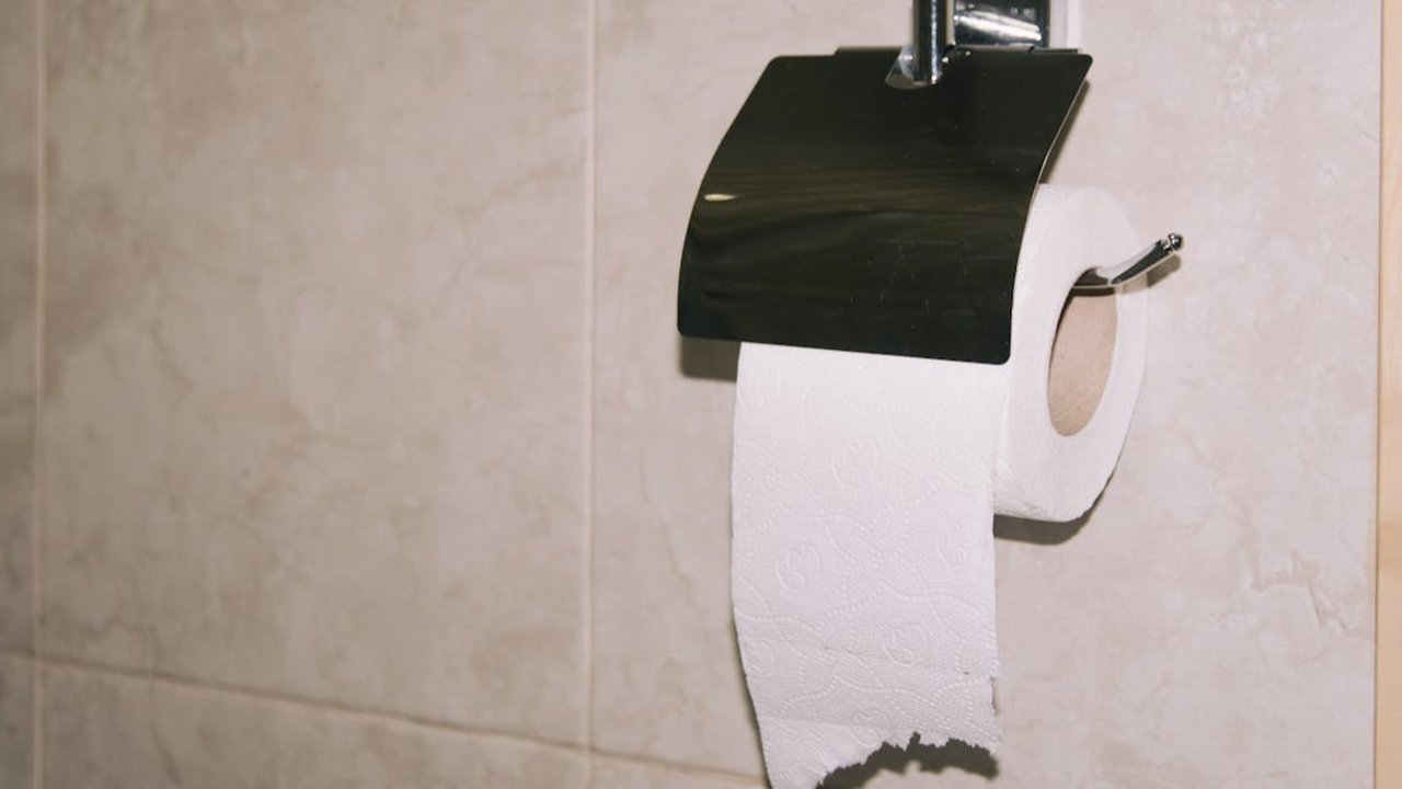 Tisu Toilet