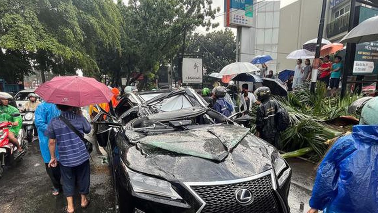 Pengemudi Lexus Mantan Bos PT Danareksa Harry Nugroho Tewas Tertimpa Pohon Tumbang di Pondok Indah, Polisi Tagih Ini ke Pengelola