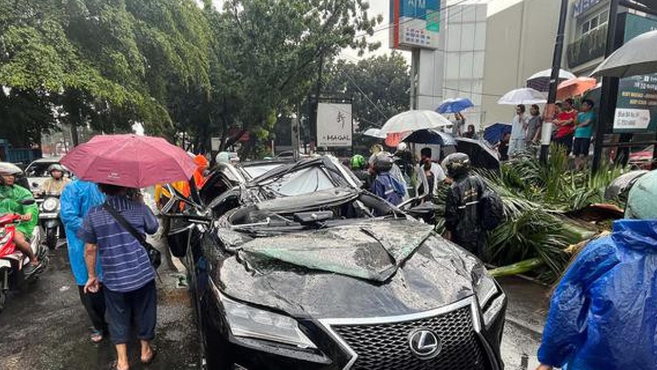 Kronologi dan Profil Harry Danardojo, Pengemudi Lexus Meninggal Usai Tertimpa Pohon Tumbang