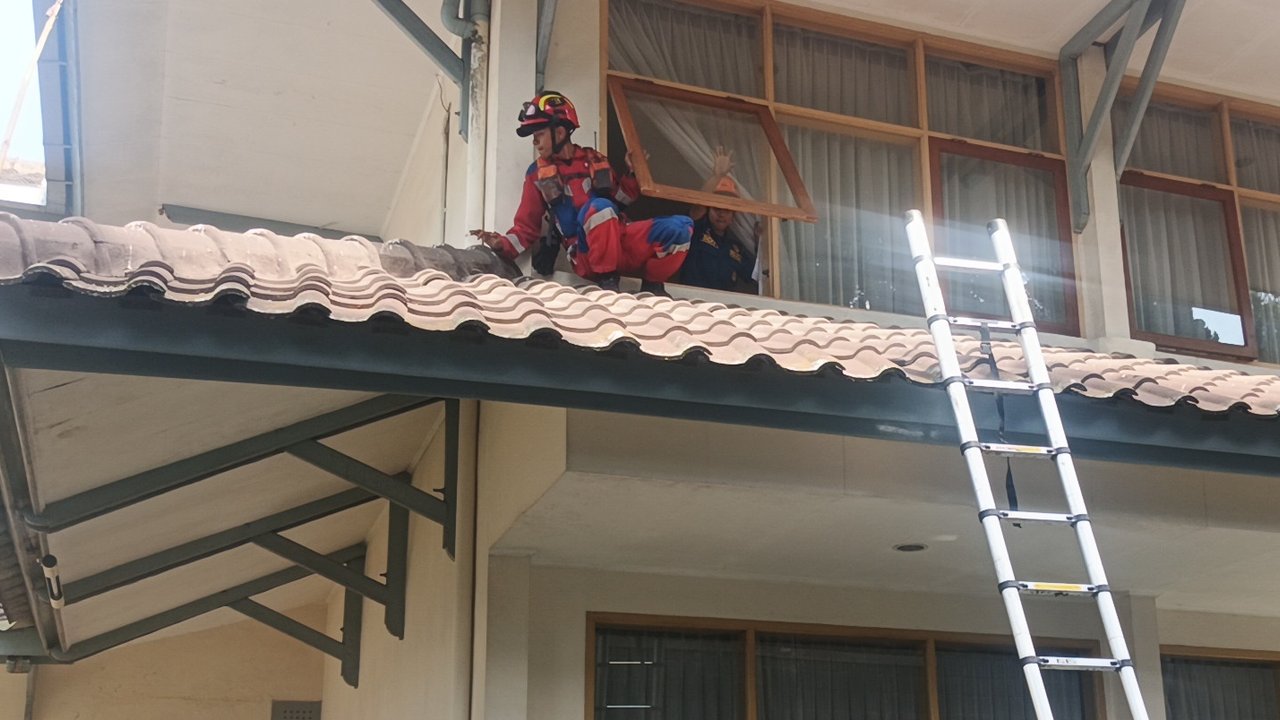Detik-Detik Petugas Gabungan Evakuasi Macan Tutul Masuk Hotel di Bandung, Pakai Bius dan Jaring Besi