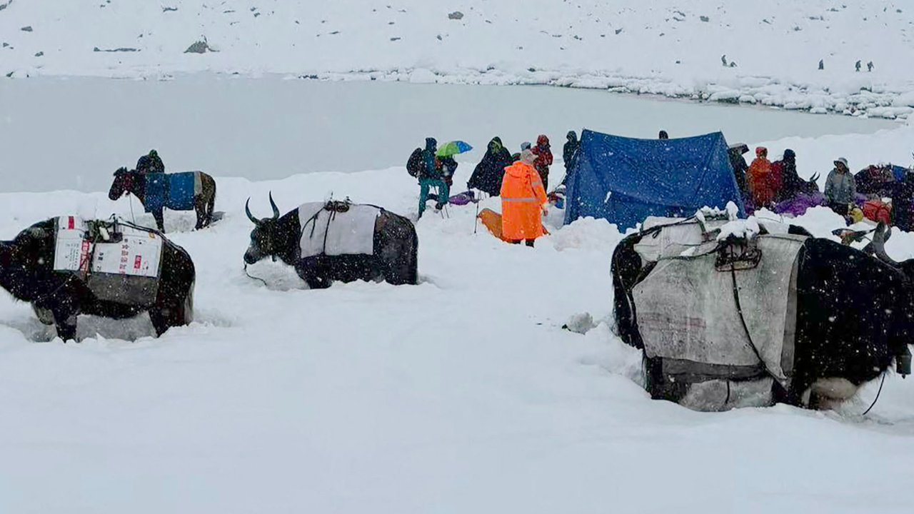 Para pendaki dan yak terjebak di tengah salju tebal di kamp Tangxiang di Lembah Karma, Tibet, Minggu (05/10/2025).