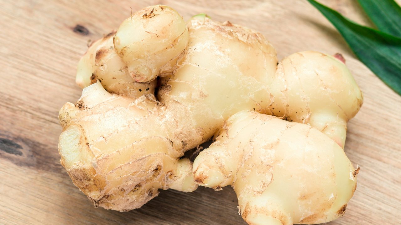 Jahe, obat alami untuk meredakan sakit perut. (dok. Unsplash.com/sentot setyasiswanto)