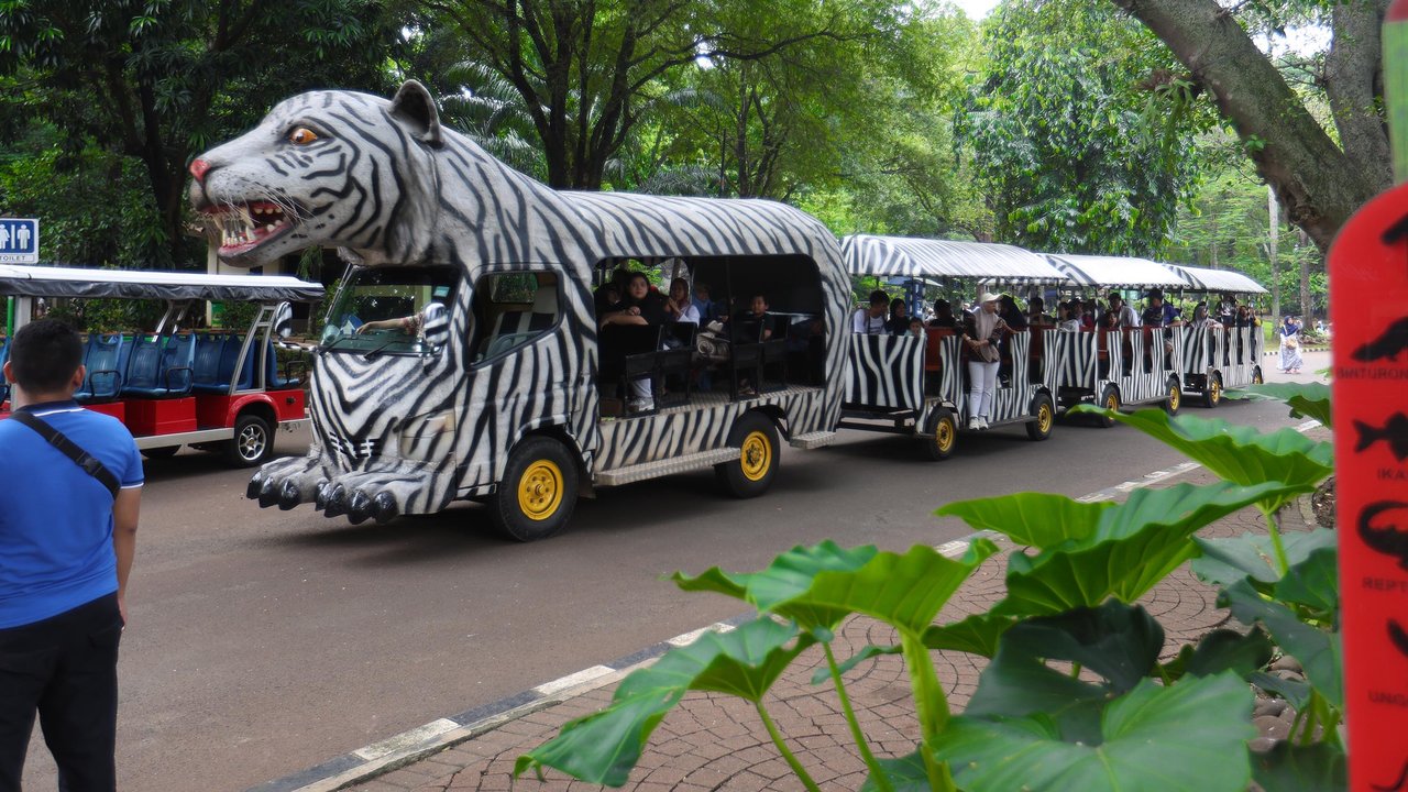 Taman Margasatwa Ragunan Buka Malam Hari Mulai Sabtu 11 Oktober 2025, Simak Informasi lengkapnya Berikut Ini