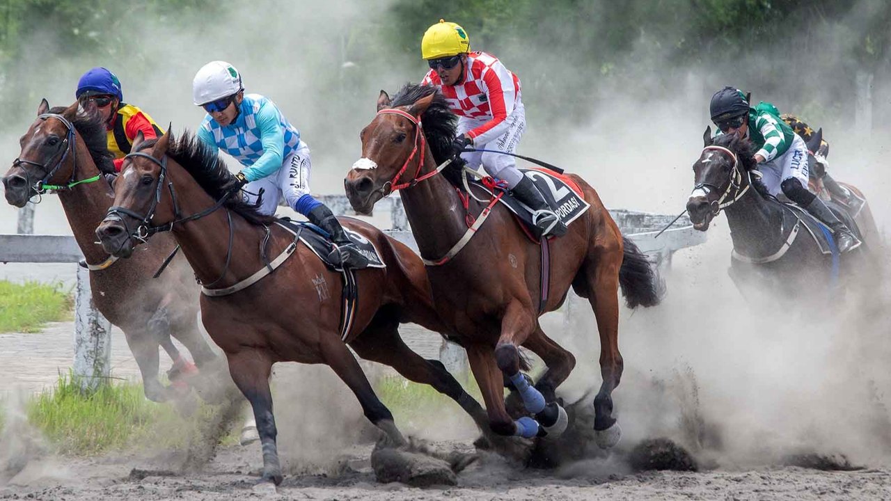 Para joki bertanding pada kejuaraan pacuan kuda nasional tahunan yang memperebutkan piala kerajaan Sultan Hamengku Buwono di arena pacuan kuda Sultan Agung di Bantul, Yogyakarta, Minggu (09/11/2025).