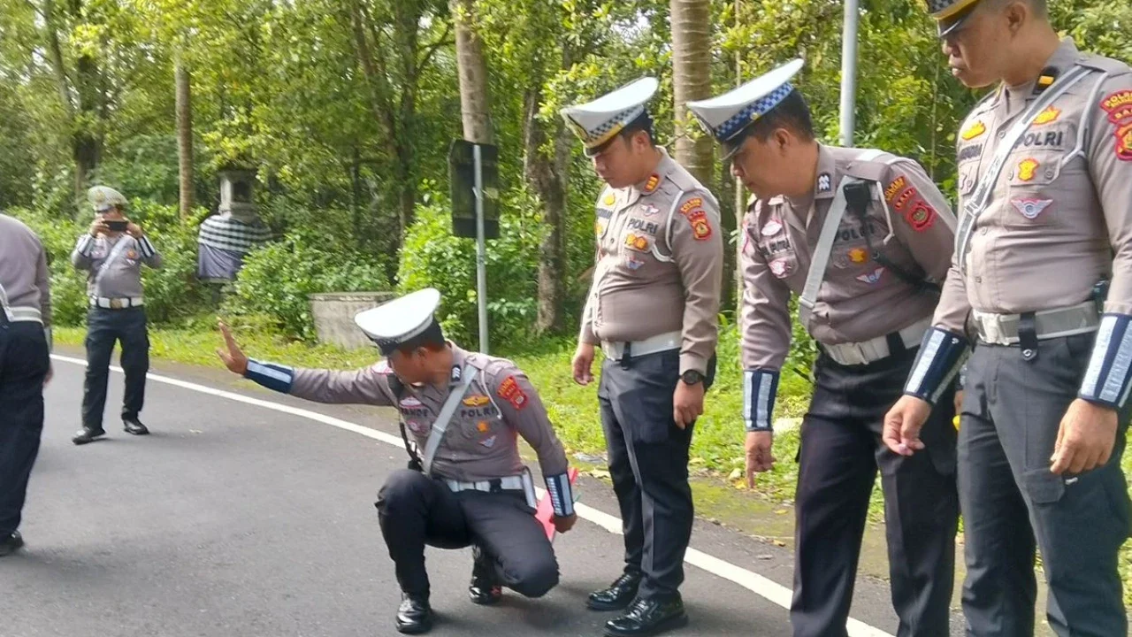 Kecelakaan Maut di Bali, Polisi Periksa dan Tahan Sopir Mini Bus yang Bawa Rombongan WN China