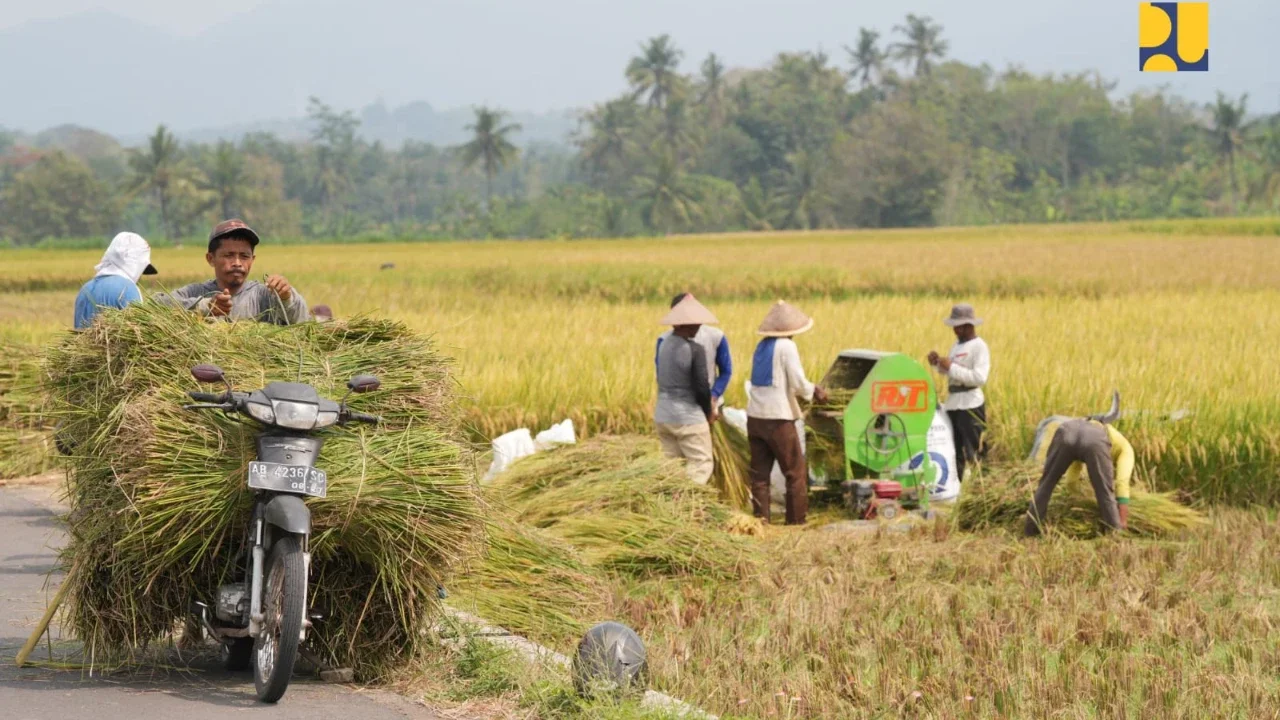 Komisi IV DPR Sebut Swasembada Pangan Semakin Nyata, Ini Indikatornya
