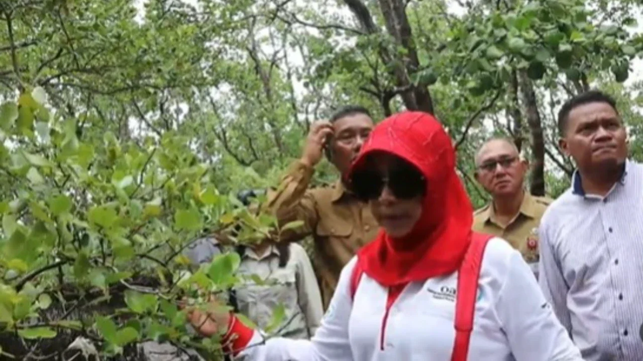 Istri Wirantp, Rugaiya Usman