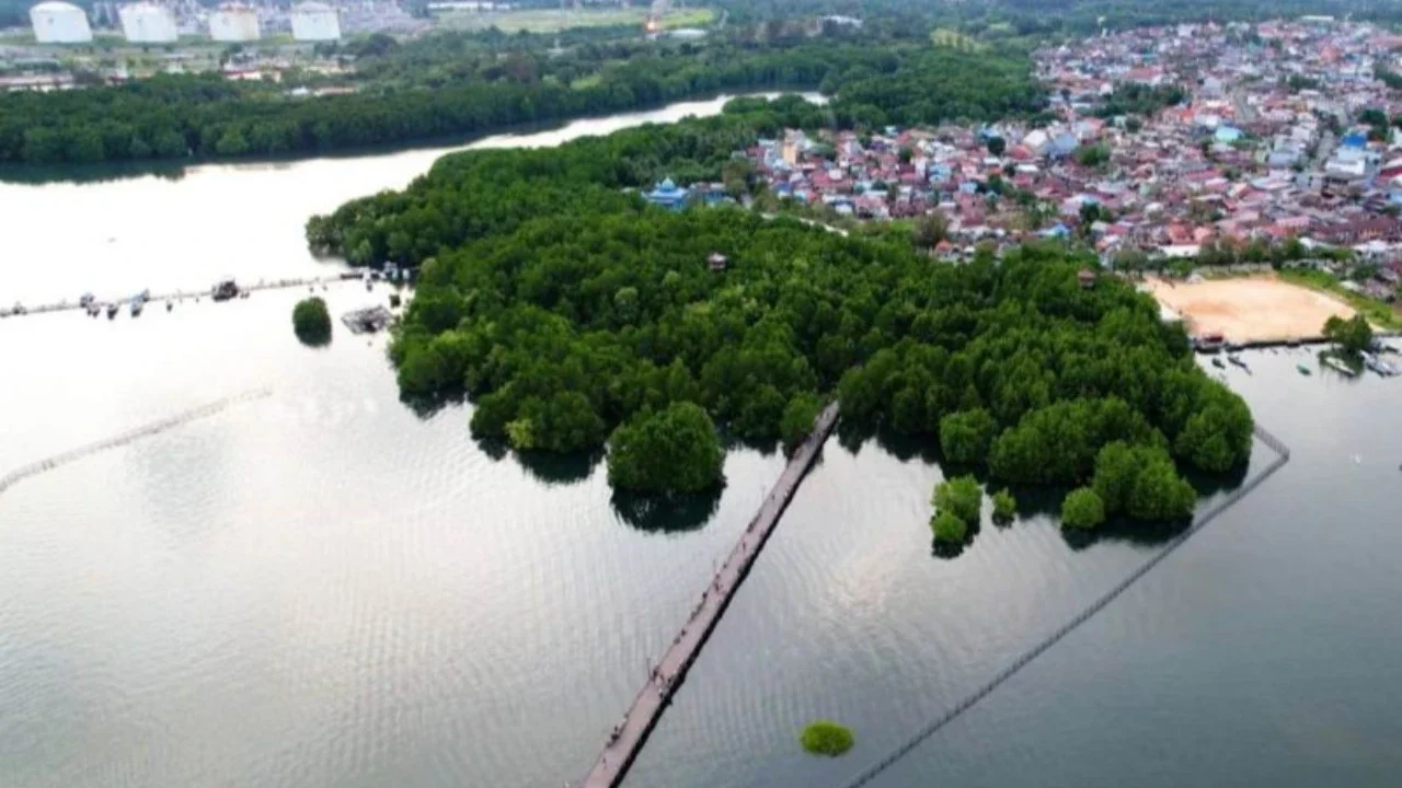 Wamen Todotua Sebut Premanisme Bikin Investasi Tekor Hingga 40 Persen