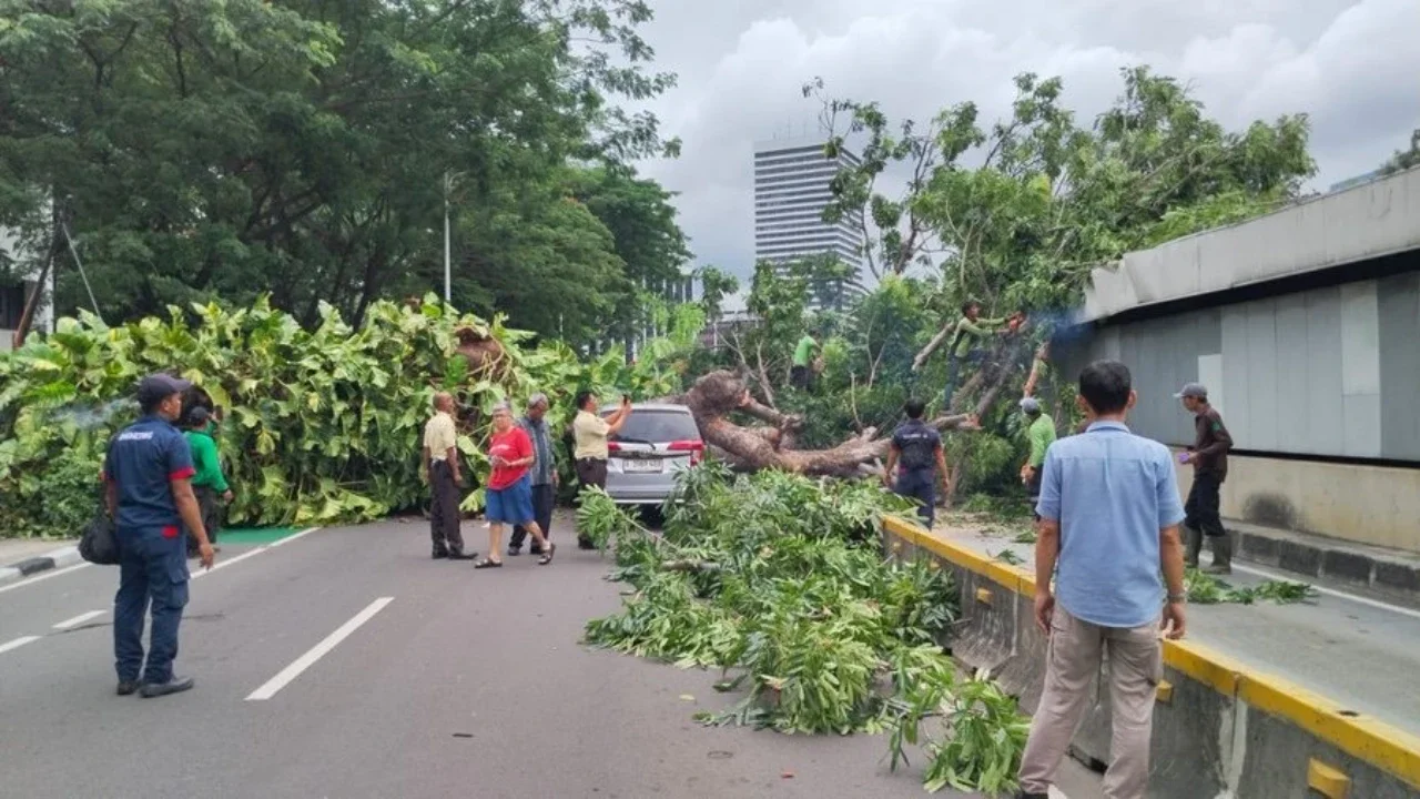 Layanan Transjakarta Koridor 1 rute Blok M–Kota mengalami gangguan pada Kamis (20/11/2025) akibat pohon tumbang di sekitar Halte Masjid Agung