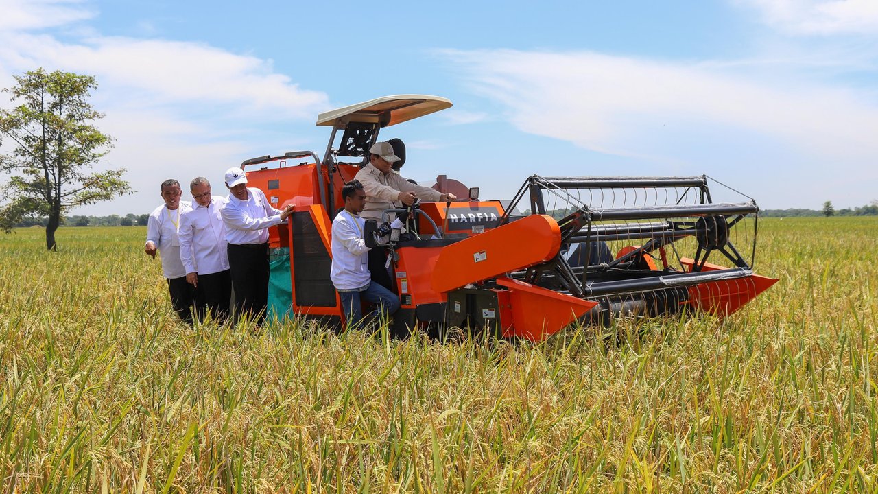 Produksi Beras Nasional Tahun 2025 Melonjak Tajam, Tembus 34,77 Juta Ton