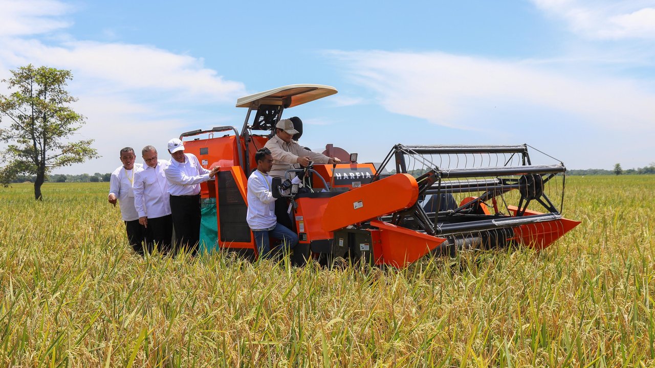 Harga Beras Turun di Semua Segmen, Dua Bulan Berturut-turut Terjadi Deflasi