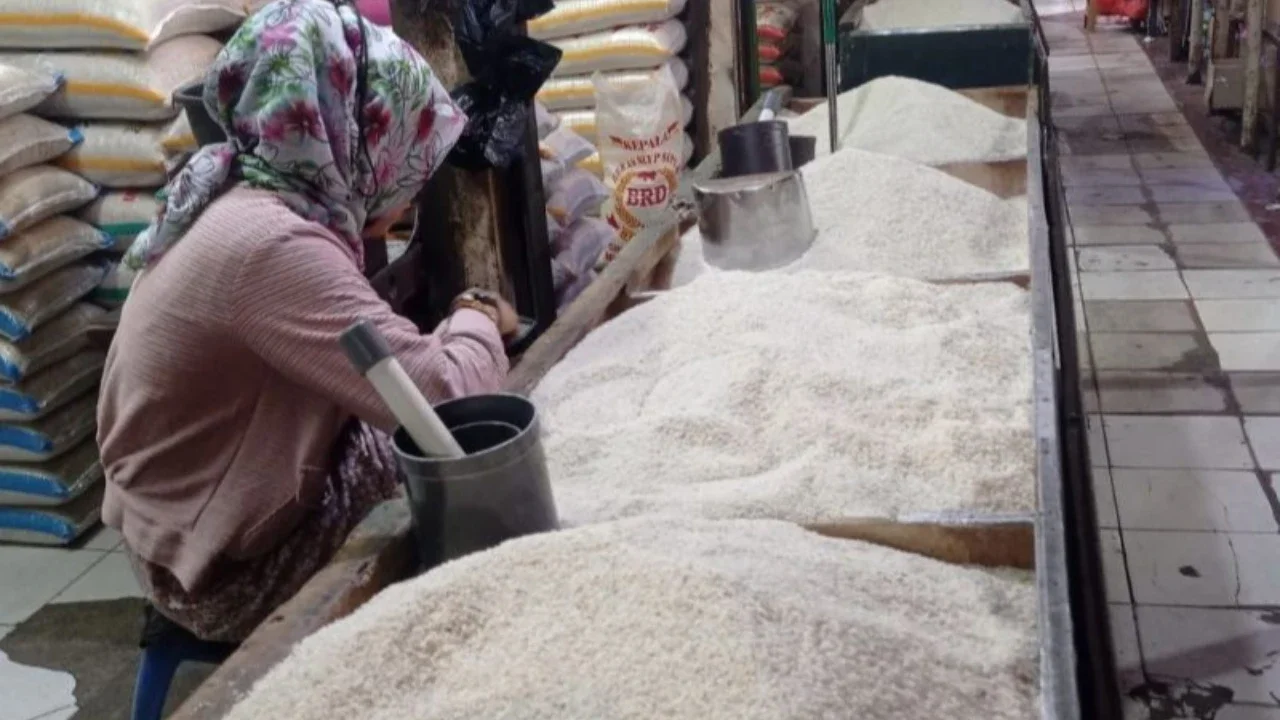 Beras Medium Aman dan Surplus, Impor Hanya untuk Kebutuhan Khusus dan Industri