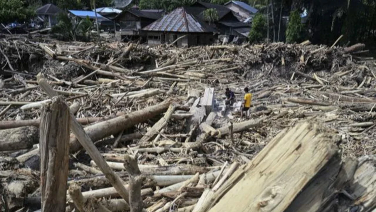 WWF Indonesia: Banjir di Sumatra Merupakan Akumulasi Kebijakan Kemenhut Selama Bertahun-tahun