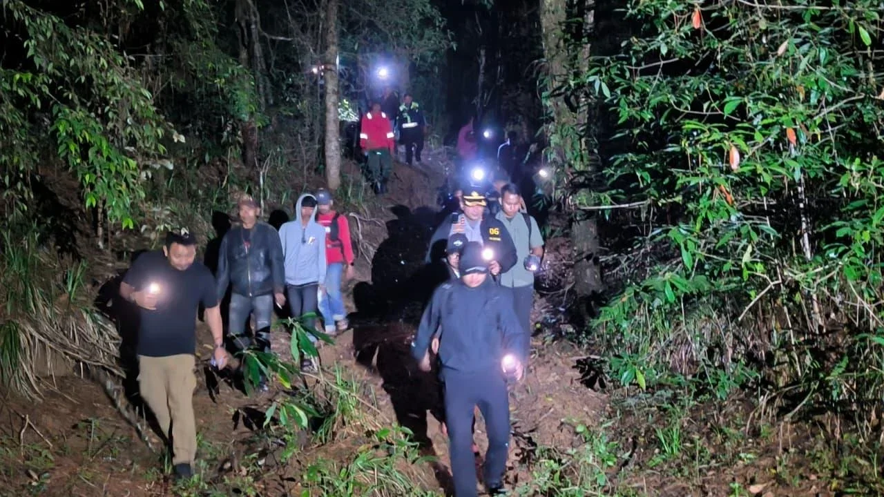 Temuan Mengejutkan, Puluhan Hektare Hutan Lindung di Gowa Gundul Diduga Akibat Ilegal Logging
