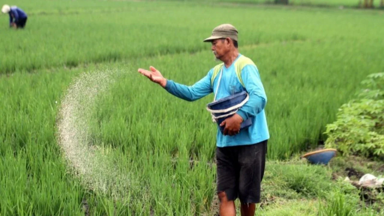 Petani Harus Jadi Subjek Utama Kedaulatan Pangan