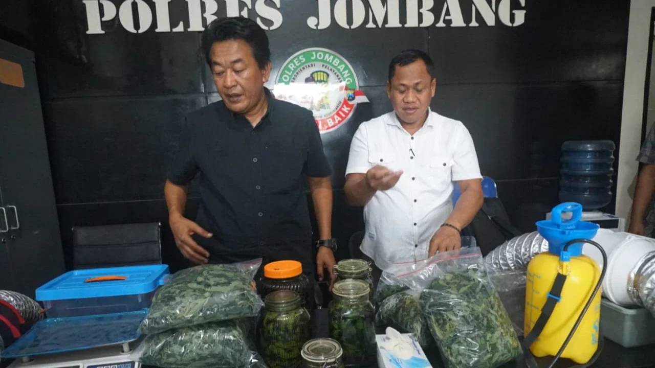 polisi temukan jejak impor biji ganja di jombang