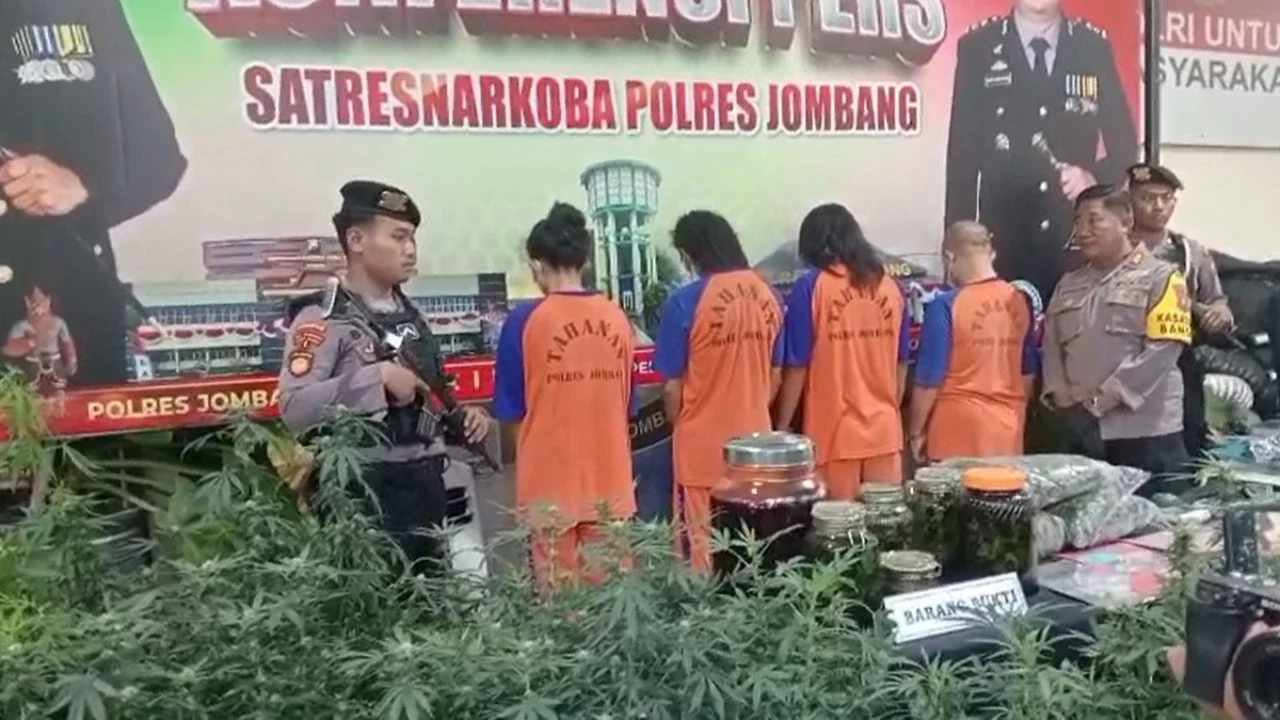 Terungkap, Peneliti Ini Jadi Otak di Balik Kebun Ganja di Jombang