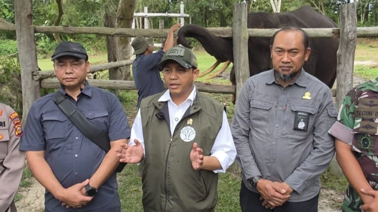 Profil Raja Juli Antoni, Menteri yang Bakal Dipanggil DPR Terkait Banjir dan Longsor di Sumatera