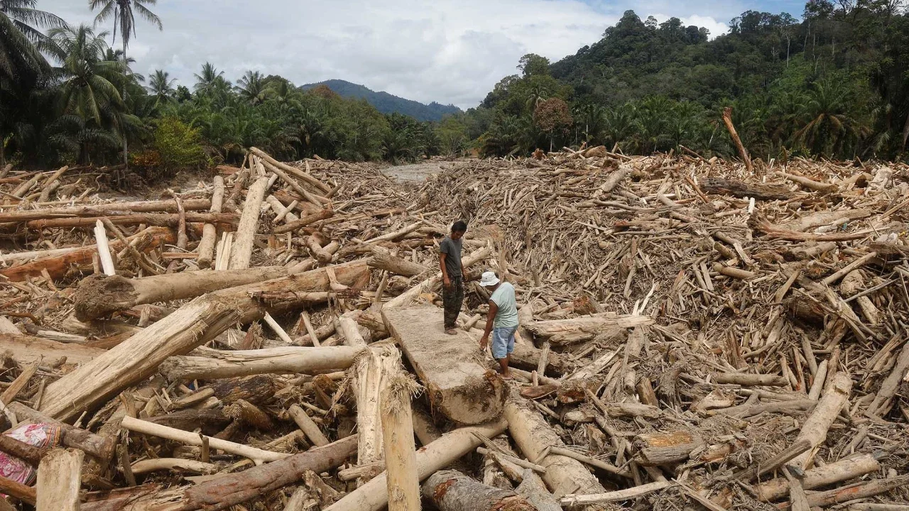 Bareskrim Turun Tangan Usut Tumpukan Kayu Gelondongan di Banjir Sumatra