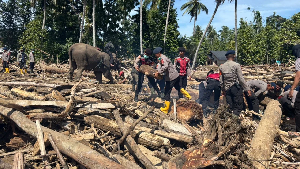 Pemerintah Sebut Kayu Terbawa Banjir Sumatra Dapat Dimanfaatkan Masyarakat