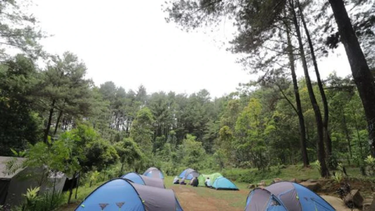 Tempat wisata di Puncak yang cocok untuk camping, salah satunya di Taman Wisata Alam Gunung Pancar (gunungpancar.com)